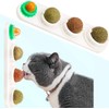 STARROAD-TIM Catnip Wall Ball Catnip Toy for Cats Teeth Clean