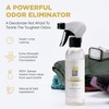 Gold Standard Shoe Deodorizer Spray, 6 oz – Shoe Spray