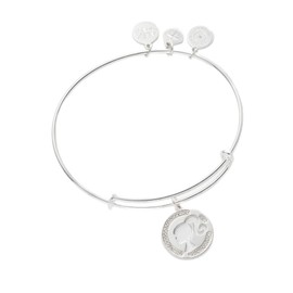 Alex and Ani Silhouette Pave Charm Bangle