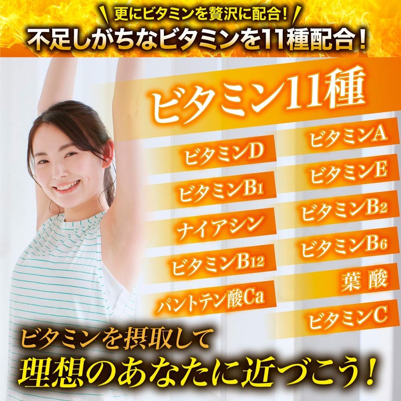 燃焼革命 ブラックジンジャー サプリメント サプリ カプサイシン L-カルニチン 厳選11種 30日分