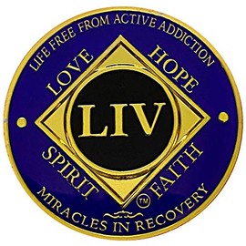 Simply Minimal NA 54 Year Golden Color Plated Medallion, Recovery Coin, NA Token, Narcotics Anonymous Recovery Chip, NA Recovery Gift (Purple & Golden Colors)