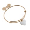 Alex and Ani Enamel Heart Charm Bangle