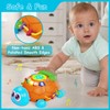 Hanayo Baby Toys 6 to 12 Months Musical Turtle Crawling