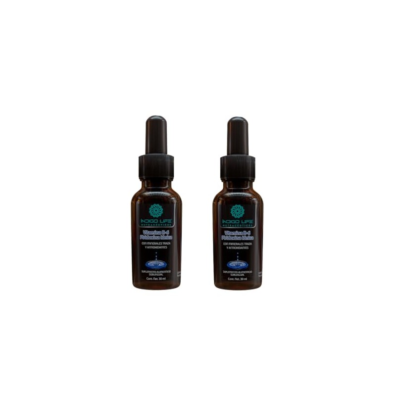 INDIGO LIFE NUTRACEUTICOS Pack Doble Vitamina B6 Ionizada – Soporte