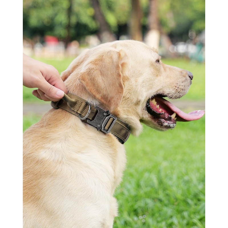 Joytale Tactical Dog Collar with Handle, Heavy Duty Military Dog