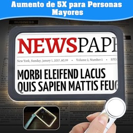 Lupa Grande de 4 Aumentos con Luz LED Ajustable, 74 LED de Luz Fría/Cálida, 3 Modos, Lupa de Mano para Personas Mayores, Lectura, Reparación de Reloje