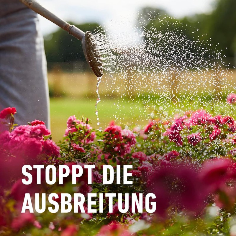 COMPO Duaxo Rose Mushroom