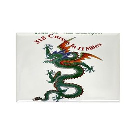 CafePress Tail Of The Dragon 318 Curves In 11 Miles Magnets Rectangle Magnet, 3"x2" Refrigerator Magnet