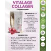 Vitalhealth VITALAGE COLLAGEN by Vitalhealth