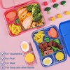 Braoses Lunch Box with 4 or 6 Compartments, Bento Box