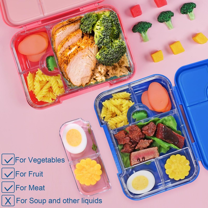Braoses Lunch Box with 4 or 6 Compartments, Bento Box