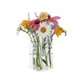 Two's Company Connected Tube Flower Vase, 6-Inch, Glass, Clear, Set of 9