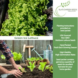 Green Ice Leaf Lettuce Seeds (Lactuca Sativa) – 1000+ Non-GMO Heirloom Seeds by Isla’s Garden Seeds, Crisp Looseleaf Variety, Sweet Flavor, Perfect for Salads, Sandwiches, & Burgers, Garden Gift Idea