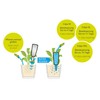 Scheurich Copa XXL, Water Dispenser Plastic and Cone Accessory, Green/Pearl,