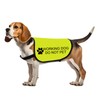 Working Dog Jacket Vest Do Not Pet Dog Vest Dog