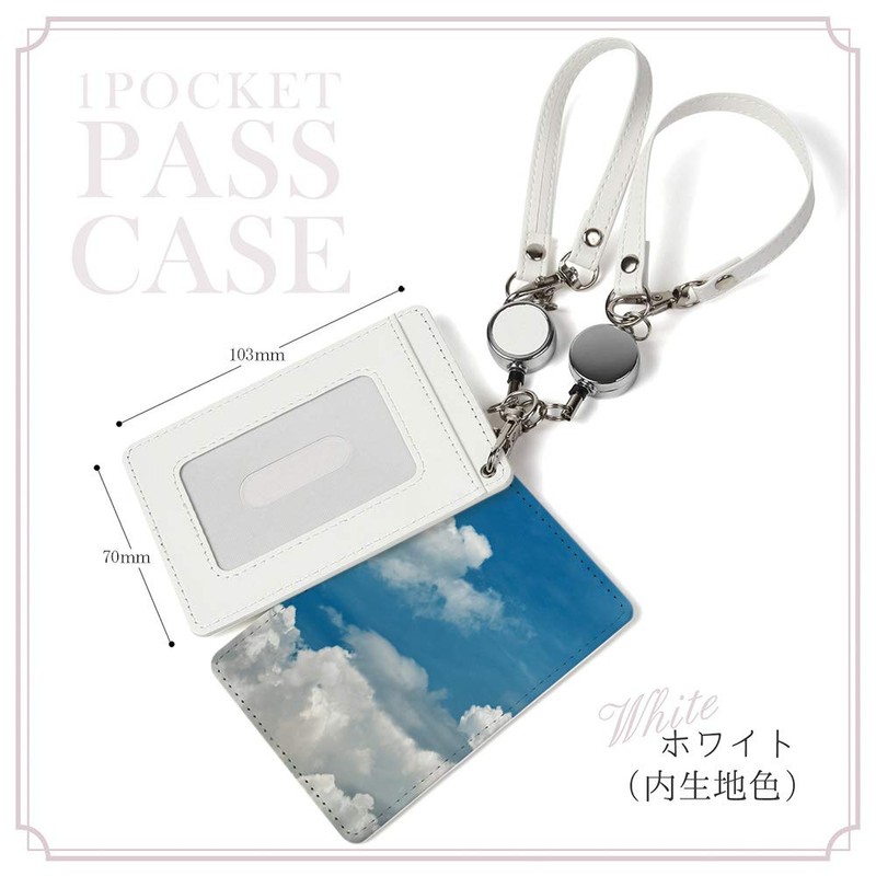 Pass Case, 1 Pocket, Reel Included, Empty, Skye, Clear Pocket,