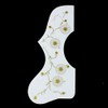 (220J07) Left-handed Acoustic Guitar Pickguard, White/gold