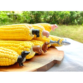 Barbecue Corn Holders 4 Pieces(2 pairs)Pink Pig, Shark, Black Dachshund dogs, Brown Dachshund dogs,Kids Corn Holders,Hand Painted Color Corn Holders (New-2 Brown Dogs)