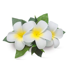Hawaii Hair Clip Foam Flower Cluster Plumeria White