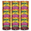 Bush Best Chili Bean Md Kidney, 16 Ounce (Pack of