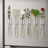 LCPCX Mini vase Magnets for Fridge, Magnetic Test Tube Vase