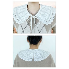TeeYee Women Girl Lace Fake Collar Embroidery Hollow Out Floral Detachable False Collar Mini Lace Cape Neck Ruff for Dress/Shirt 01