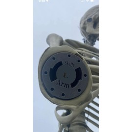 Home Accents Holiday 12 foot Skeleton Replacement Parts - Arm Left -  (Male and Female Sides)