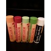 Earth's Bees (Burt's Bees) Assorted Moisturizing Lip Balm 0.15oz -