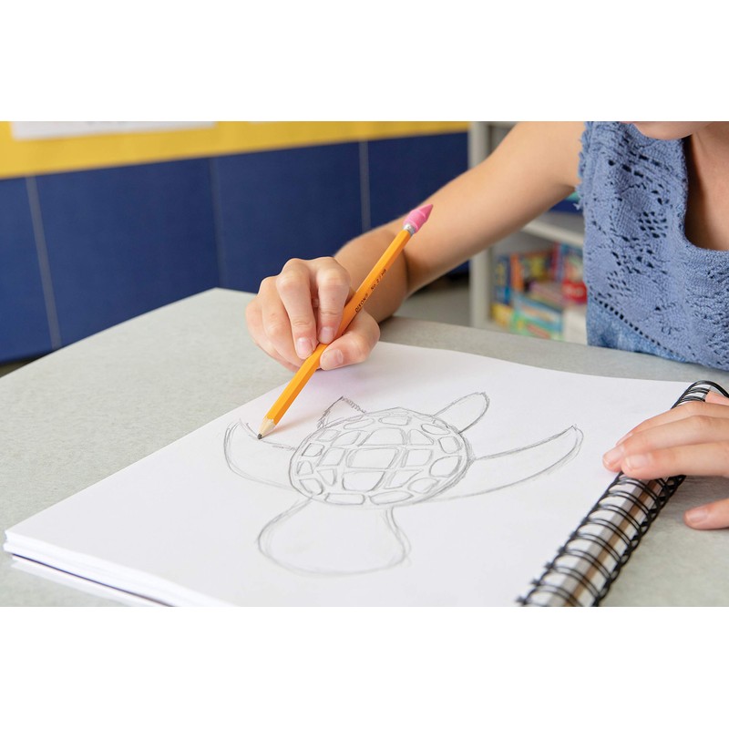 Dixon No. 2 Yellow Pencils, Wood-Cased, Black Core, 20-Pack (14420)