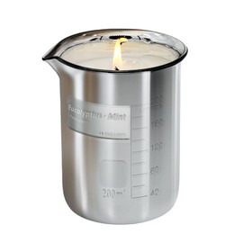 Eucalyptus Mint Scented Candles for Men - Natural Soy Candles | Best Friend Birthday Gifts | 7oz 40 Hours Burn Time