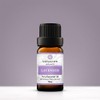 Vitality Extracts Lavender Essential Oil - Natural Calm, Stress Relief,