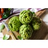 NIKA SEEDS - Seeds Vegetable Green Globe Artichoke - 20