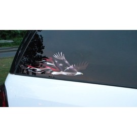 East Coast Vinyl Werkz Bald Eagle American Flag Decals - 2 Piece Set - Fitment: Cars Trucks 4x4 SUV RV Camper Golf Cart Hood Door