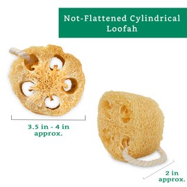 Natural Loofah Exfoliating Sponge (4 Pack) - Loofa Exfoliating Body Scrubber - Biodegradable Organic Loofah Sponge - Shower Luffa Sponges - Shower Lufa - Estropajos para el Cuerpo