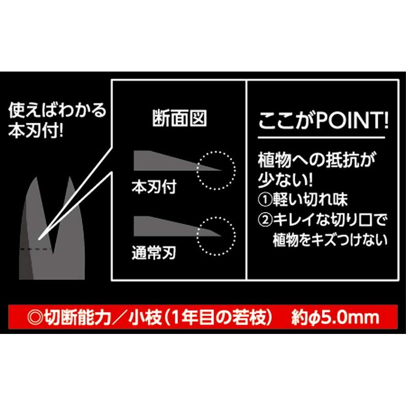 Takagi Stainless Steel Bud Cutting Shears with Main Blades, 6.3