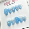 Blue Sea Shell Handmade Nail Tips - Short Almond /