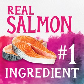 Triumph Free Spirit Deboned Salmon & Chickpea Recipe Dry Cat Food, 11lb.