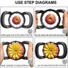 Apple Corer Peeler Stainless Steel Divider Fruit Corer Grater Apple