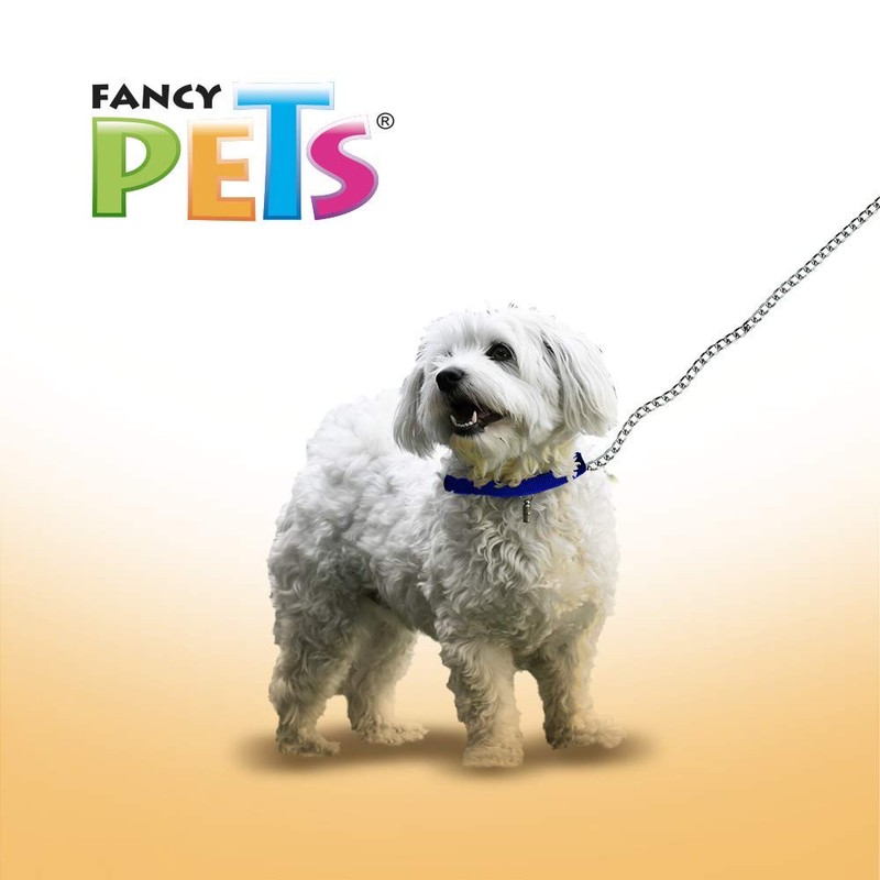 Fancy Pets Correa de Cadena Negra para Perro de Grosor