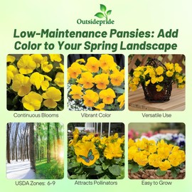 Outsidepride 1000 Seeds Viola Pansy Yellow Flower Seeds for Planting