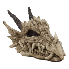 Ebros Gift Jurassic Beowulf Elder Dragon Head Skull Realistic Fossil Statue 7.75" Long Miniature Figurine Might and Magic for Medieval Fans Game of Thrones Lovers Dungeons and Dragons Fantasy Decor