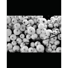  PERCEPTION AND CHALLENGES- A CASE STUDY OF MID-DAY MEAL SCHEME, PUNJAB