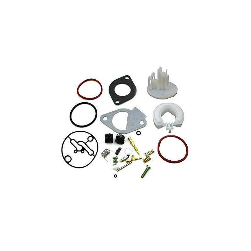 Carburetor Kit for Briggs & Stratton Craftsman, & Many more