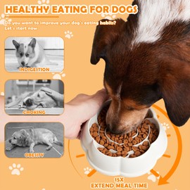 Dog Bowl,Pack of 2 Anti-Sling Bowl,Dog Accessories, Slow Eating, Non-Slip Feeder for Medium and Large Dogs