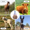 WEISGJA 3 PCS Slow Feed Hay Bag Hay Net for