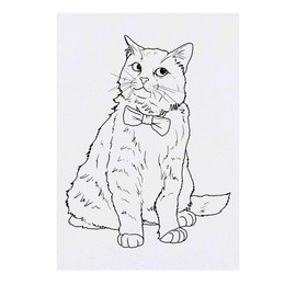 'Fancy Bow Tie Cat' Temporary Tattoo - Water Resistant, Skin-Safe, Non-Toxic Transfer (TO00072069)