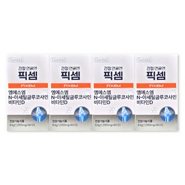 FIXEM 1050mg / 픽셈 1050mg X 60정 4박스 관절 연골엔 FIXEM 엠에스엠 MSM 비타민D 영양제