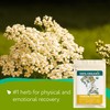 Yarrow Flower Tea Organic (4oz.)- Dried Yarrow Herb Loose Leaf