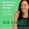 EZ Melts Iron - Supplement for Daily Energy & Iron