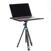 Benro MiniBird 3 Section Carbon Fiber Tripod w/ N00P Head
